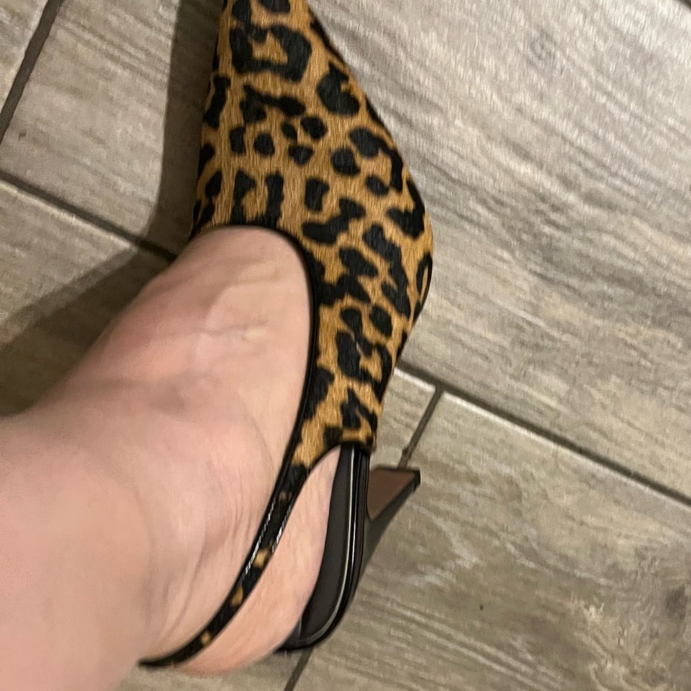 Franco Sarto Leopard Print Brown and Black Heels